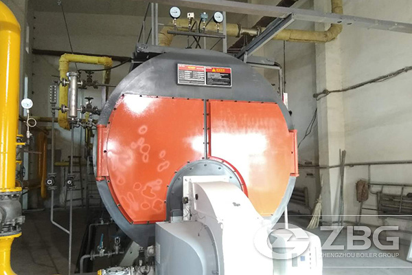 20-tons-gas-fired-boiler-(2).jpg