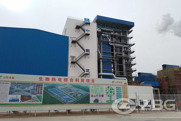 150 Ton Biomass Fired Power Plant Project