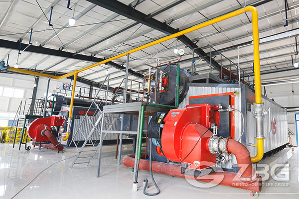 ZBG Low Nitrogen Boilers Attract More Attention