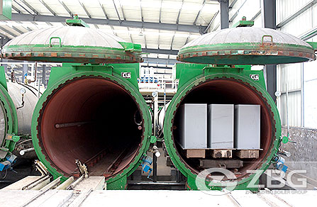 AAC Plant