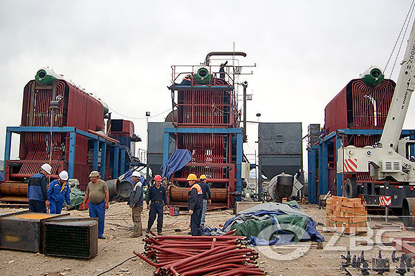 20 Ton Chain Grate Boiler In Mongolia