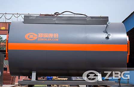 WNS Gas Hot Water Boiler